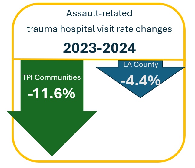 Assault Related Trauma Hospital Visits